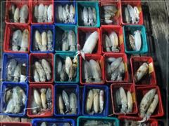 09.23 [경주] 23/수, 오후타임도 대삼치 고시 캐스팅 파티!