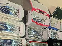 [사천] 삼천포 산분령 유료낚시터 9/23 조황입니다!!