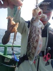 9월23일 신나라호 쭈꾸미 좋은조황