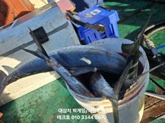 9/23(수) 야간 팁런 조과(목,금,토,일~모집)