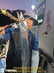 내만칼치ㅡ느나느나 씨알.마릿수 초대박입니다(금/토/예약가능