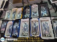 내만칼치ㅡ피딩,피딩! 쿨러넘쳐 씨알.마릿수 초대박입니다(목/금/토/일/예약가능)