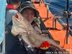 9/24 왕대구조항 임원항대진호