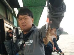 [사천] 왕쭈꾸미 피딩피딩