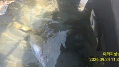 [포항] 9.24 돌문어 대박 2탄