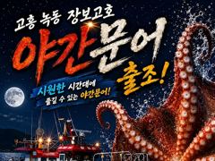 추석재수용 녹동돌문어 물반문어반7탄