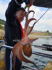 삼천포 마린보이 9. 24. 목요일 주간문어 다녀왔습니다.