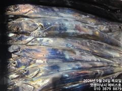 돼지 갈치 퍽퍽 손맛 죽고 일요일 자리 여유