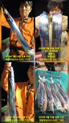 대양호 선상낚시 조황