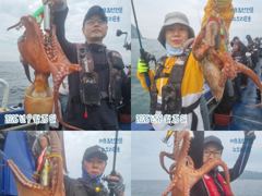 <뉴오리온호> 문어 마무리 조황(25일)-내일 쭈꾸미 종일/오전 자리있습니다.