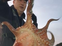 [진해] 돌문어 1400g1380g외 중치급 많이잡고.. ( 일요일 예…