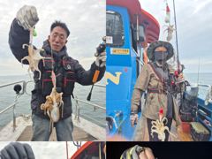 <크라운호> 쭈꾸미 종일 마무리 굿 조황(25일)-내일 쭈꾸미 종일/오전 자리있습니다