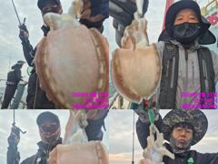 <썬스타호> 쭈꾸미 오후 마무리 조황(25일)-내일 쭈꾸미 종일 자리있습니다