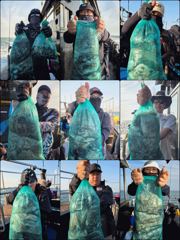 먹물 글만 보기
