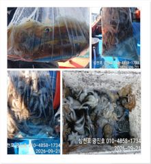[사천] 왕쭈,장원145수 {평일,할인} 주꾸미출조 자리여유 예약중