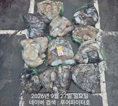 루어파이터호-9/27 일 [8물] 쭈/갑 조항 입니다.