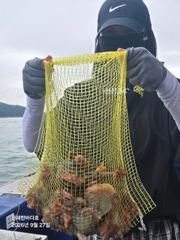 오늘도 묵직하게 올라오는 굵직굵직 돌문어 찐한 손맛~! 계속해서 달립니다^0^