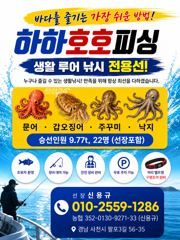 내일 월요일 사리지만 문어 출조선수모집.10/1일부터 쭉~주꾸미 예약중.즐기시러 오세요