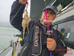 덩치 큰 삼천포 쭈꾸미...건치러가입시다!!