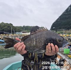 [진해] 와,28일새벽,내만칼치3지까지퍼담고타작,전원쿨러넘쳐만만쿨,오늘예약가능~