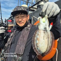 2026년9월28일블랙호조황사진입니다