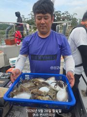 9월 28일 월요일 갑오징어 조황