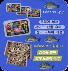 감성돔 마릿수 조황 어초에서