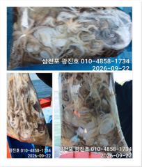 광진호,왕쭈 장원145수{평일,할인}쭈꾸미 출조 예약중