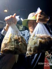 문어사냥 여기저기 히트히트! good!조황!