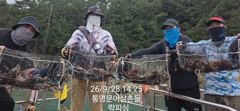 [통영] (문어)2득실득실 22수 20수 K급 포함 이만큼~락피싱(1일 …