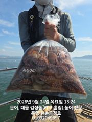 통영 금정호 오전문어선상 내일 자리있습니다 주말도 자리여유있어요