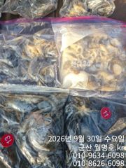 30일 쭈꾸미 오후반조황