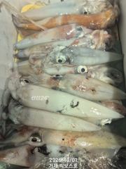 갈치가 썩었네요~ 한치도 덩달아