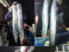 <여수뉴피닉스호> 내일(금) 씨알좋은 갈치출조 자리많습니다. 황제낚시가능