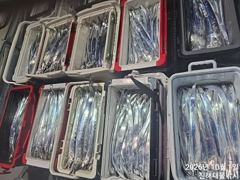 [진해] 1일새벽,내만칼치3,5지용가리까지 씨알완전대박,엄청쏱아지고~오늘…