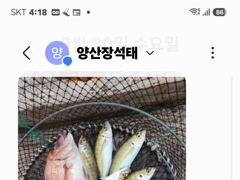 [통영] 나드리2호))욕지좌대 마리수전갱이 .돔들까지~!!
