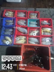 [통영] [팁런],원도권,무시급들( 금요일,소수인원.출항확정)