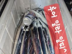 내만갈치~~느나느나~~2지부터~~내만용가리까지~