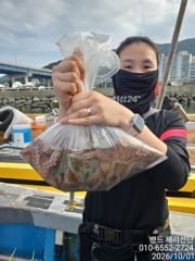 사량도 어장으로, 섬치기로 ~(내일까지 선비 6만원)