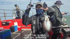 10/1 목 [12물] 쭈꾸미/갑오징어 조항 입니다.