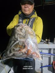 [먹물조황] 삼천포 문어조황! 주간반, 야간반 매일출조!