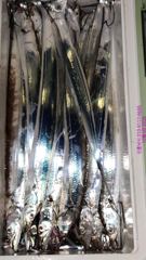 말이필요없는 밤칼치 퍼담고 전원 만쿨로 ^