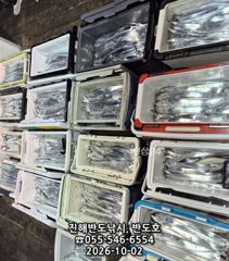 2일,내만갈치,담뱃갑 씨알에,엄청나게 나옵니다,오늘7자리(금,일,월~예약가능)