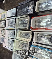2일,내만갈치,담뱃갑 씨알에,엄청나게 나옵니다,오늘5자리(금,일,월~예약가능)