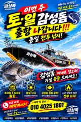 [거제] 토.일 감성돔 종일 전투낚시 나갑니다!!