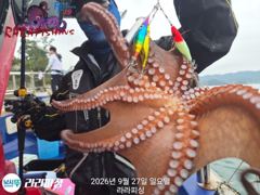 (야간문어) 토.일.월.쭉욱 예약가능 덩치들잡으로가요~