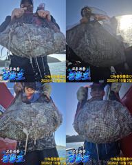 <고흥녹동> 청룡호 2일 돌문어 630수!!대박조황!!!!