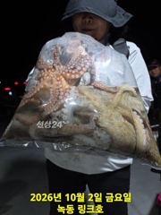 10/2일 야간 문어 조황입니다