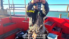 10/2 금 [13물] 쭈꾸미/갑오징어 조항 입니다.