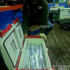 준내만갈치 텐빈/텐야 만쿨조황(월요일부터예약가능
